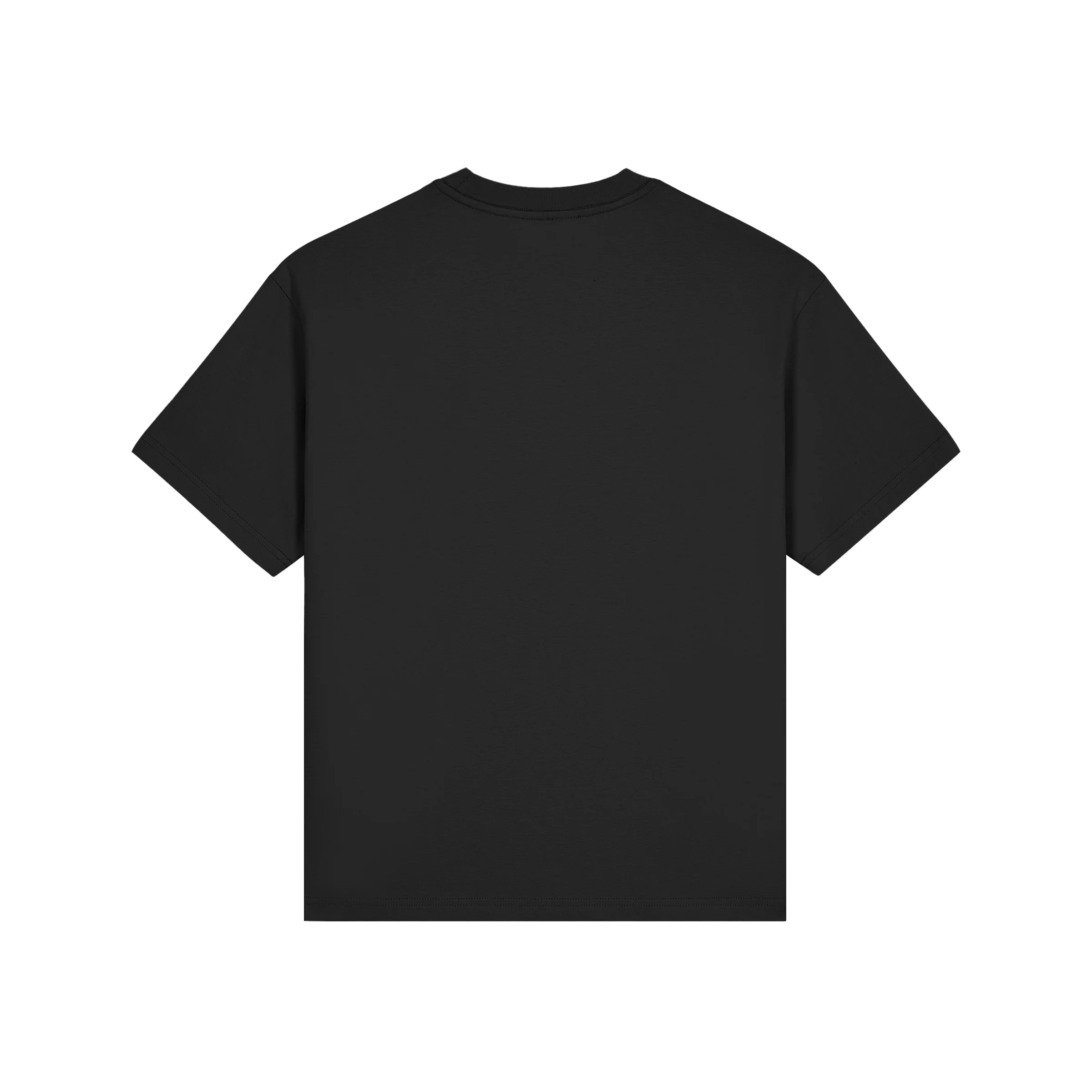 Arirang Tour Fitted Tee - Image 13