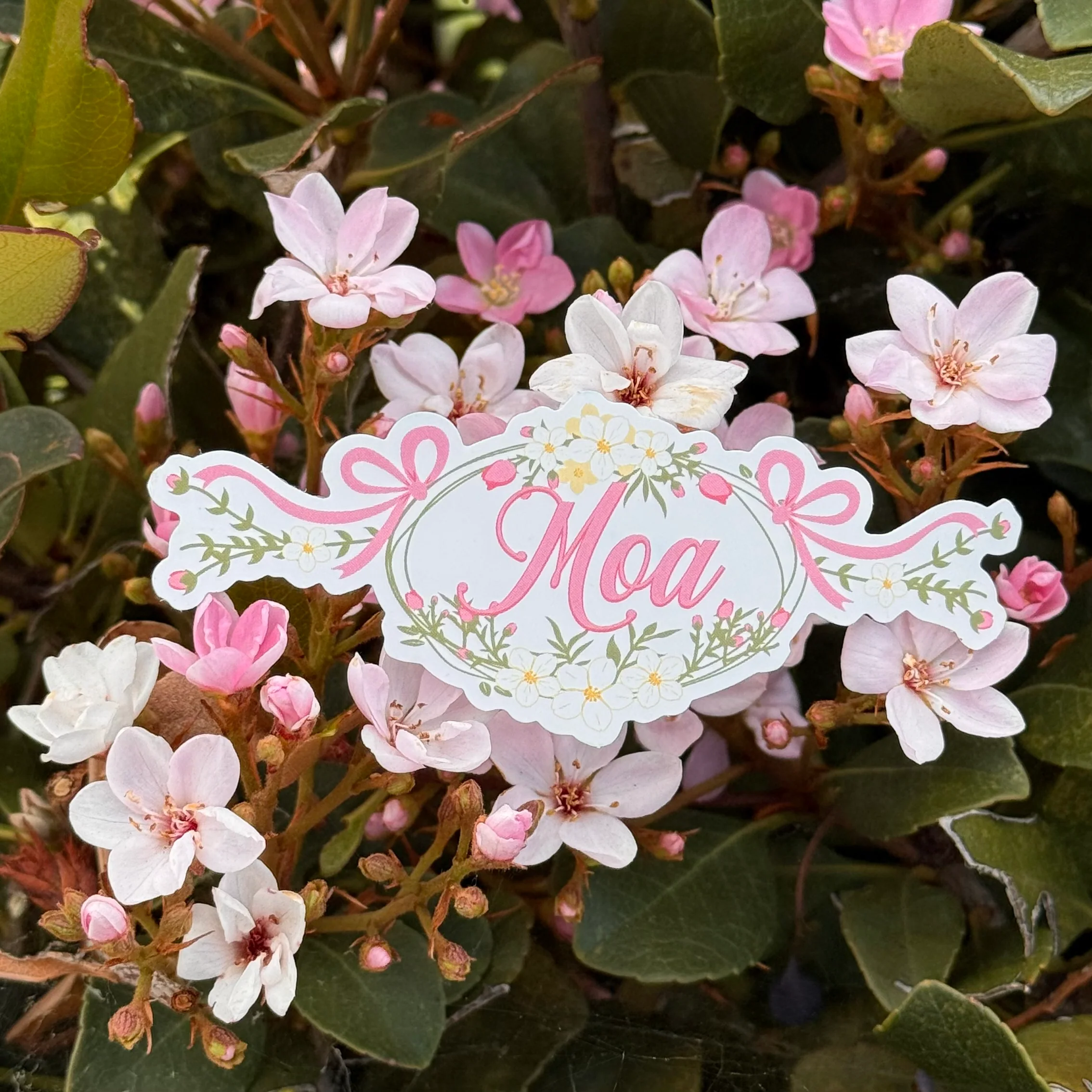 Boy Group Floral Stickers - Image 5