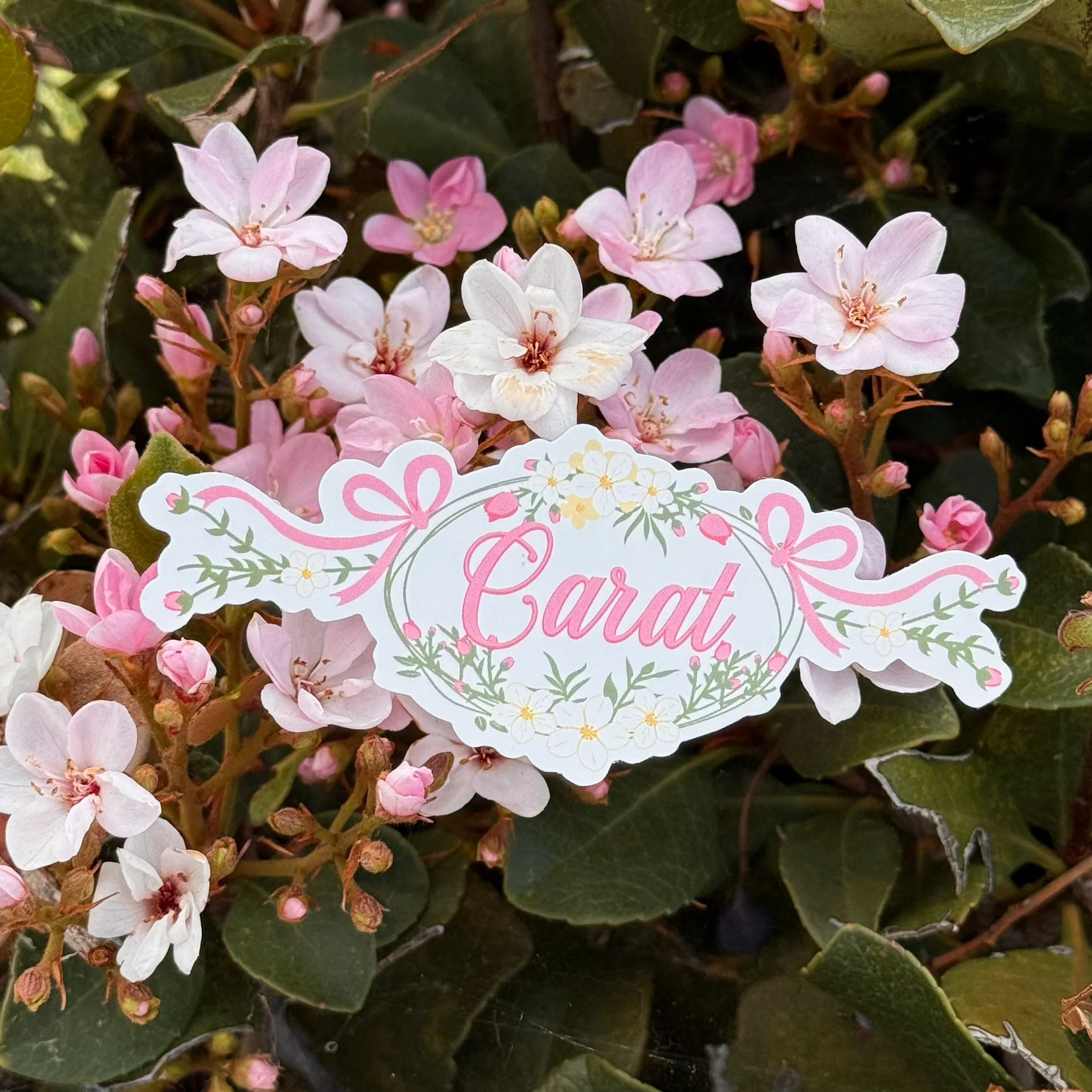 Boy Group Floral Stickers - Image 6