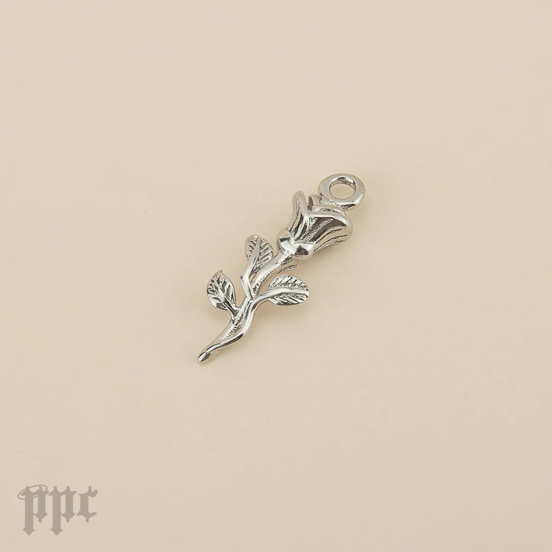 BTS Single Charms - Image 5